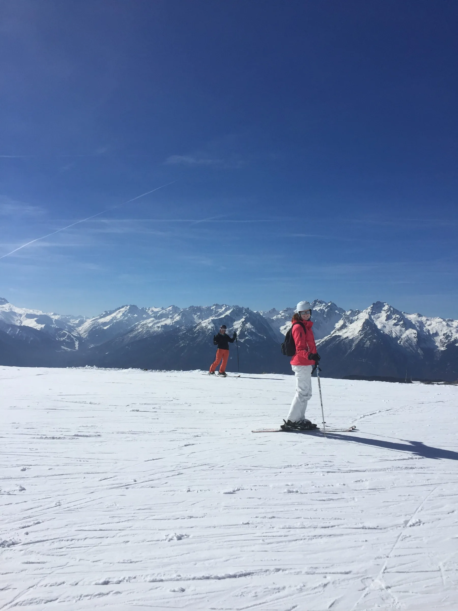 Viva le/laFrance avec le/la ski